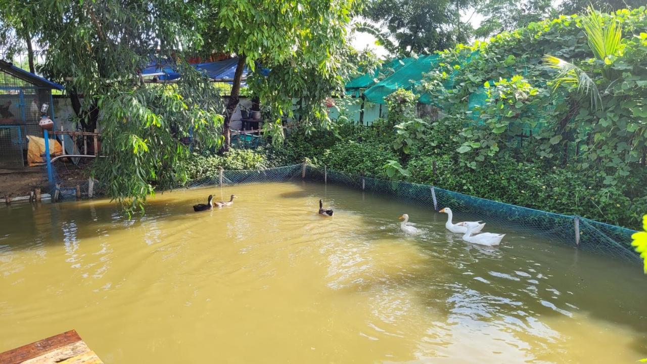 Panchobon Art Resort Shanti Niketan Luaran gambar